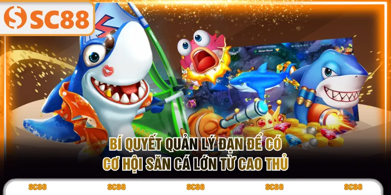 Bí quyết quản lý đạn để có cơ hội săn cá lớn từ cao thủ