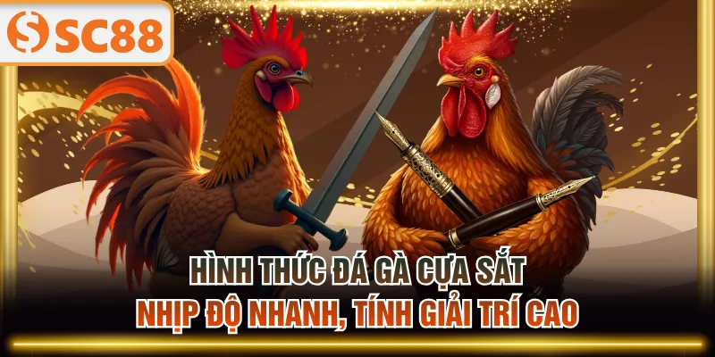 Đá gà cựa sắt